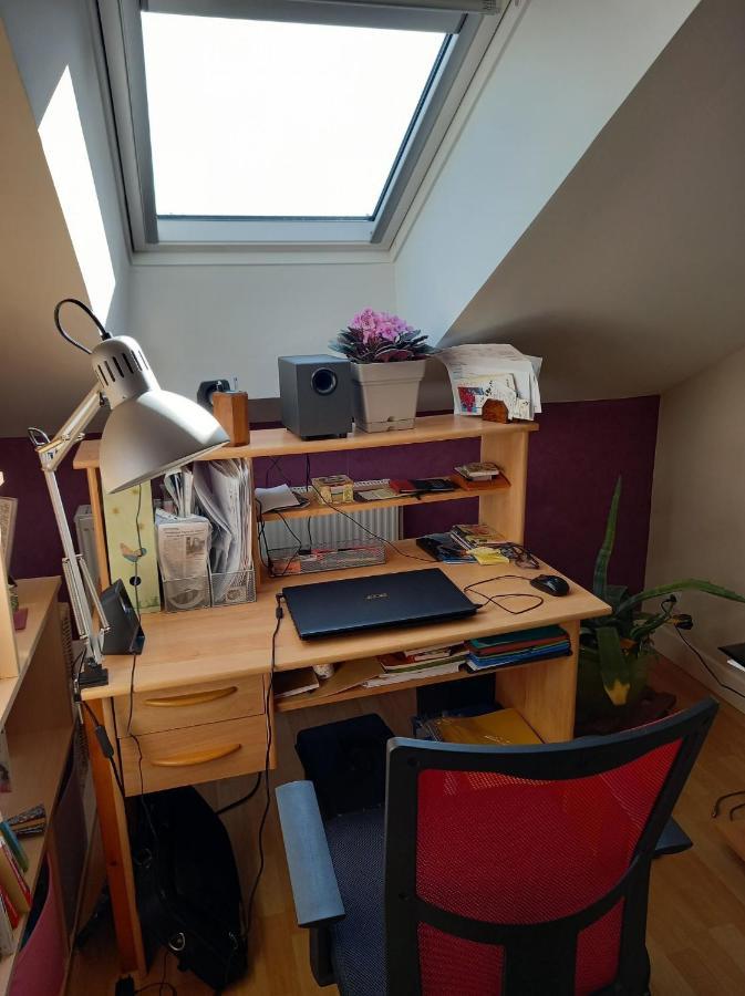 Chez Kiki Apartment Epinal Bagian luar foto