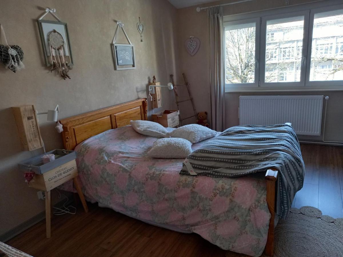 Chez Kiki Apartment Epinal Bagian luar foto